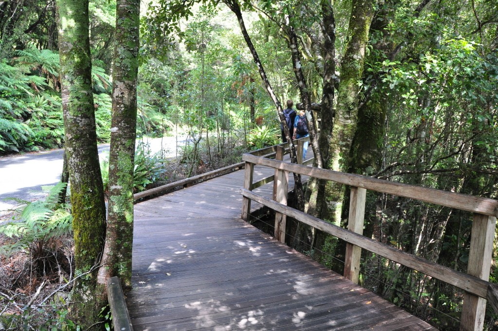 There is a nice boardwalk to get back to the main parking area at Milford Sound.